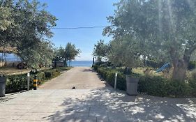 Amalfi Complex